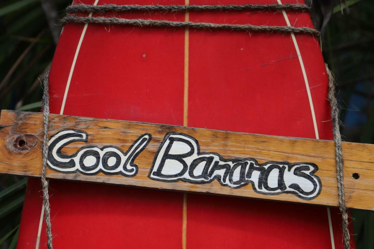 Hostel Cool Bananas Backpackers Agnes Water Zewnętrze zdjęcie