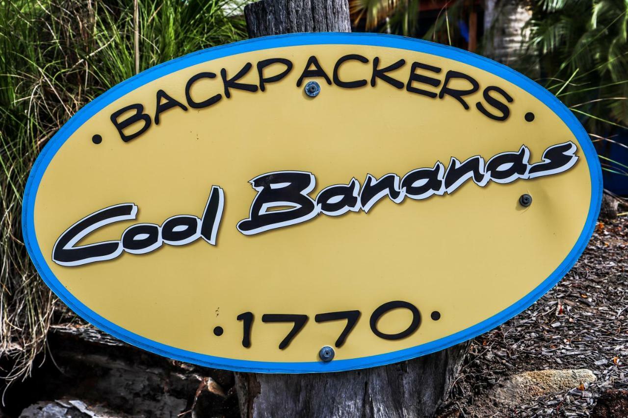 Hostel Cool Bananas Backpackers Agnes Water Zewnętrze zdjęcie