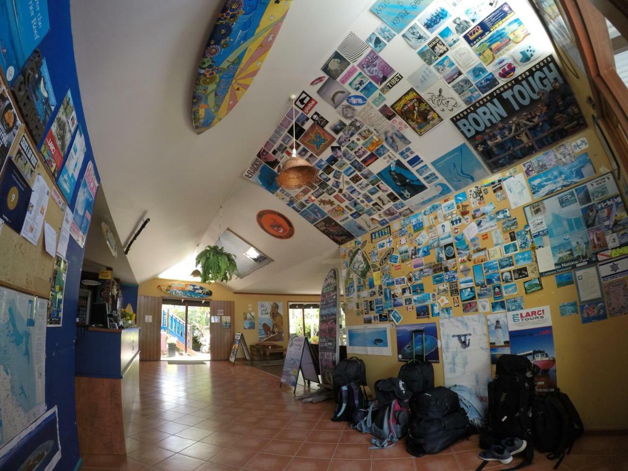 Hostel Cool Bananas Backpackers Agnes Water Zewnętrze zdjęcie