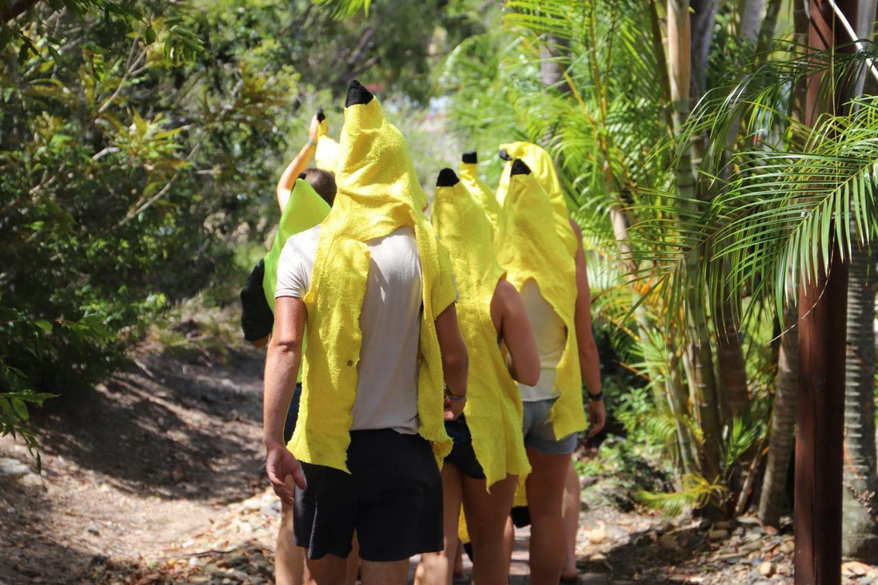 Hostel Cool Bananas Backpackers Agnes Water Zewnętrze zdjęcie